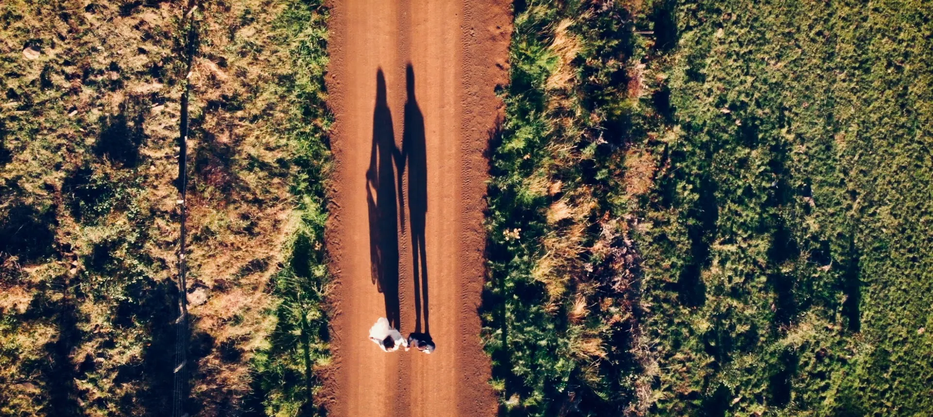 Tasmania wedding landscape